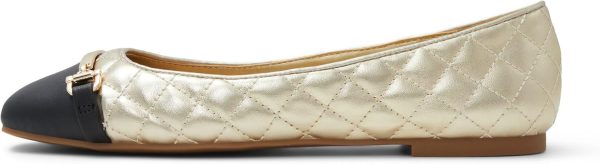 ALDO Women's Leanne Ballet Flat